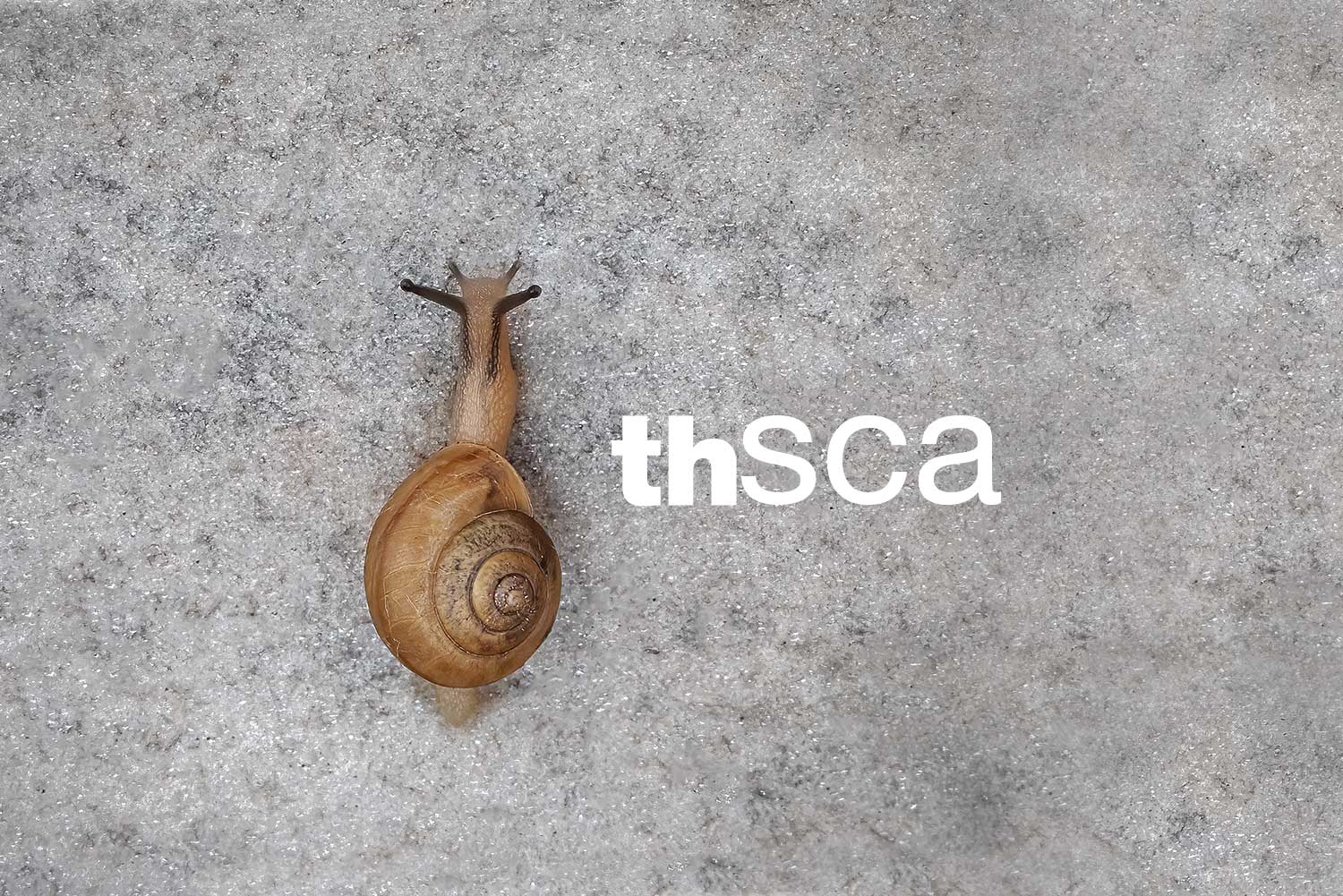 Pómada para quemadurasSca