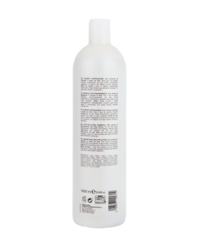 Pack économique « Oignon rouge » : shampoing et après-shampoing Pack économique « Oignon rouge » : shampoing et après-shampoing
