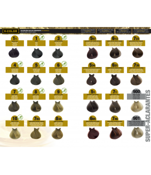 Kit Tinte en casa V-Color