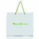 TH - PAPER GIFT BAG (WHITE AND GREEN) WITH CORD ASA 